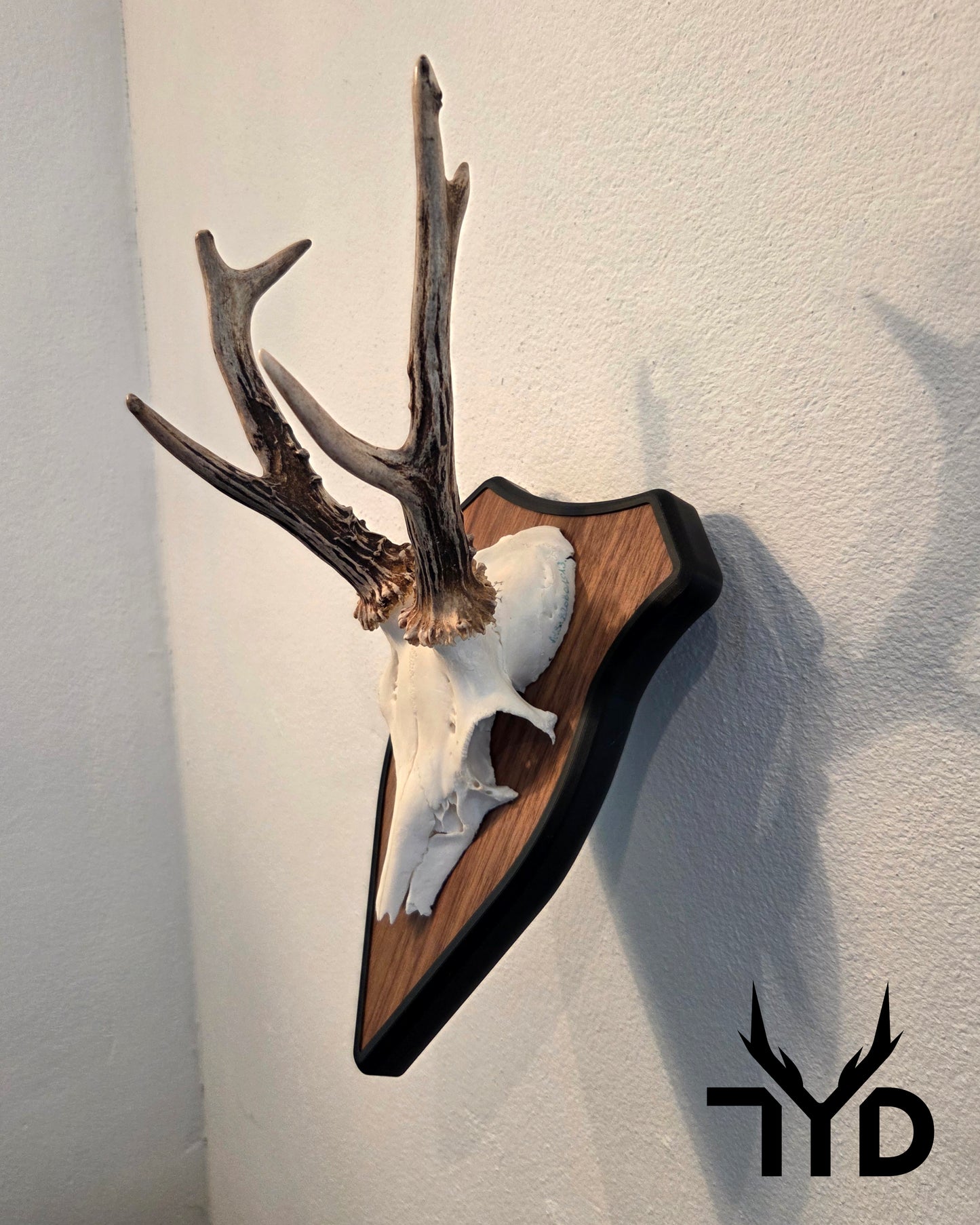 Trophäenschild "Schräg"