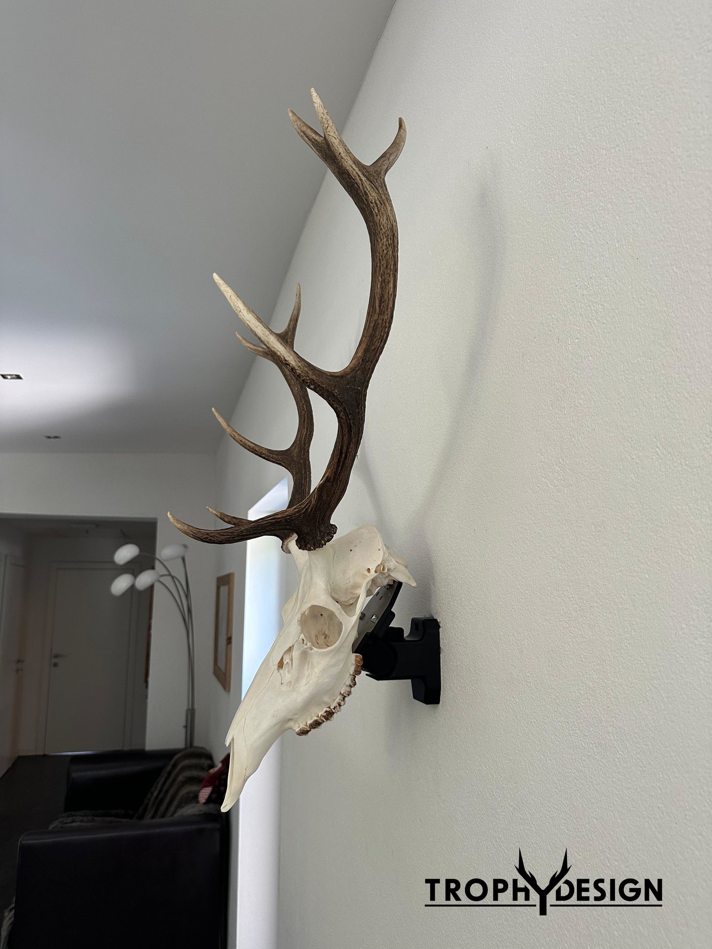 Wandhalterung für Jagdtrophäen (Rotwild) - bis 5 kg