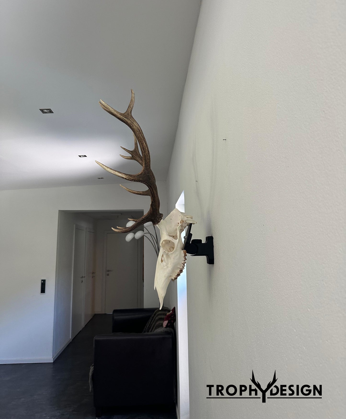 Wandhalterung für Jagdtrophäen (Rotwild) - bis 5 kg