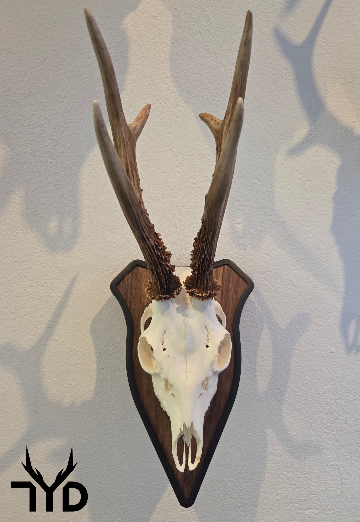 Trophäenschild "Classic"