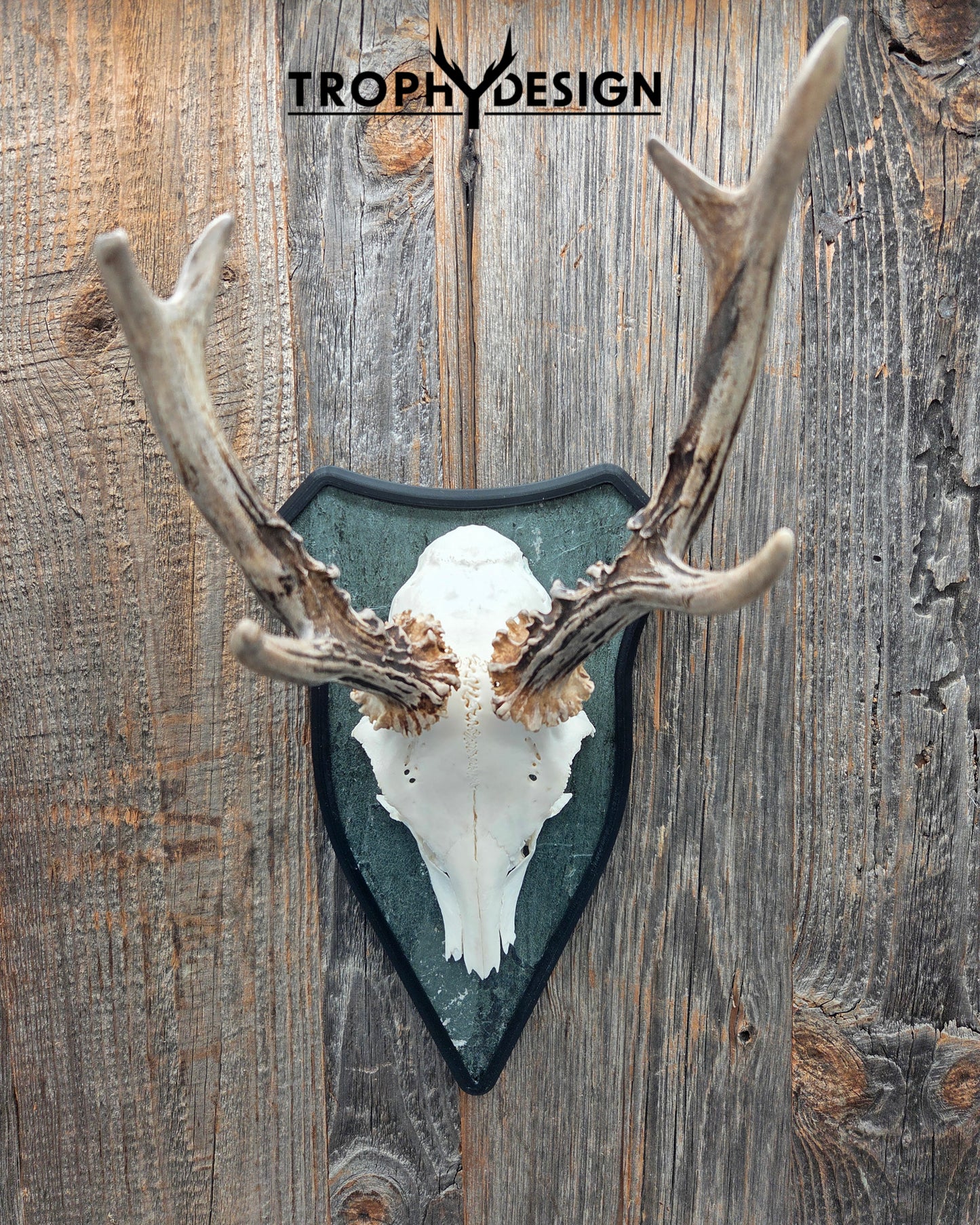 Trophäenschild "Classic"