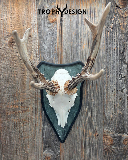 Trophäenschild "Classic"