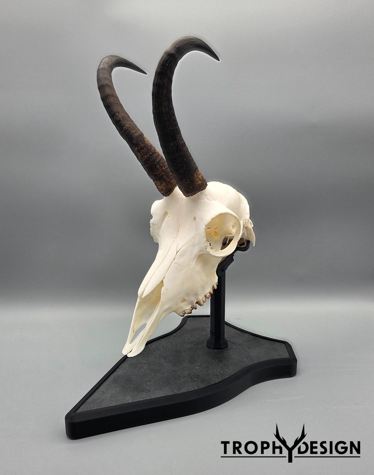 Trophäenständer (Stein)