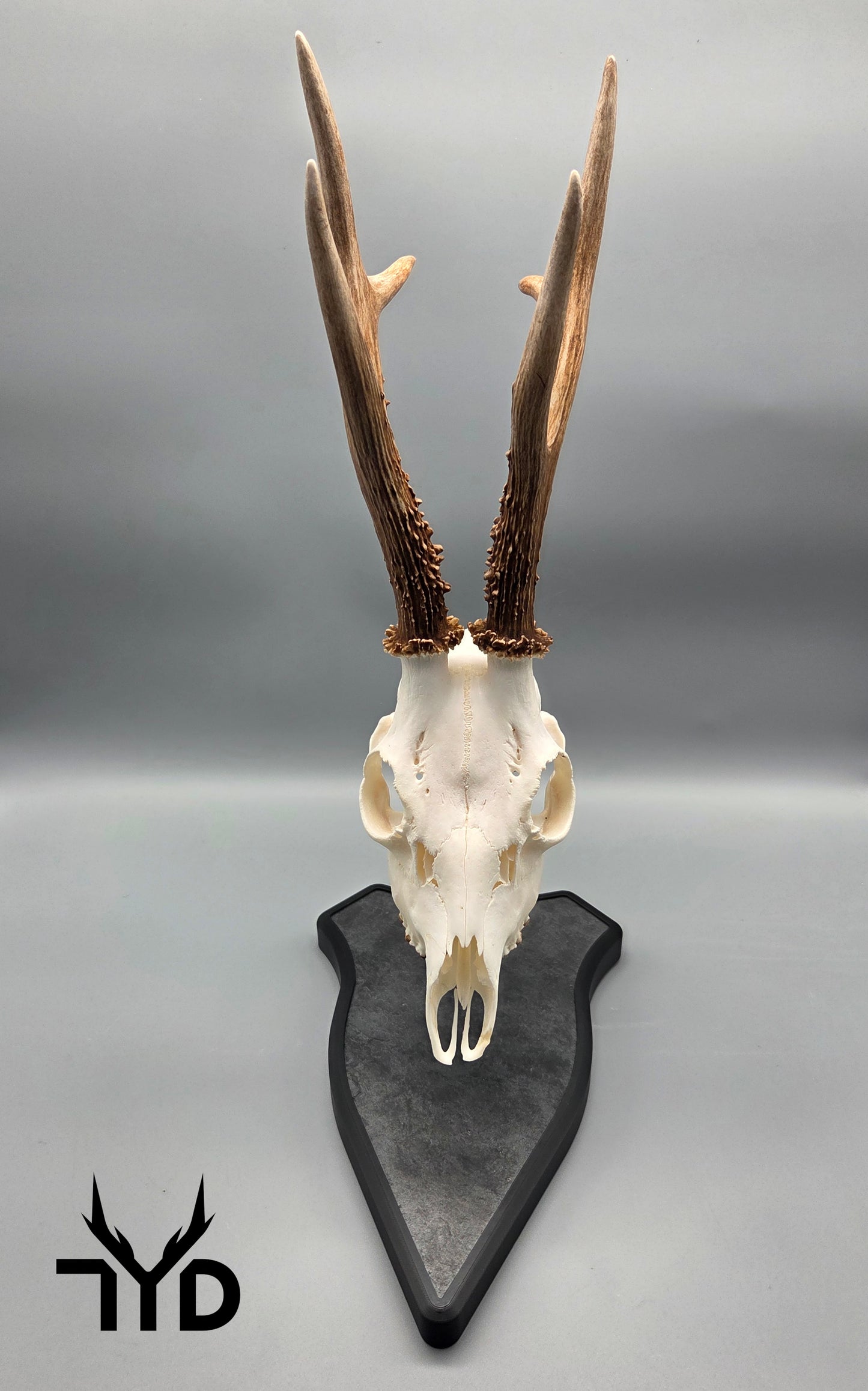 Trophäenständer (Stein)