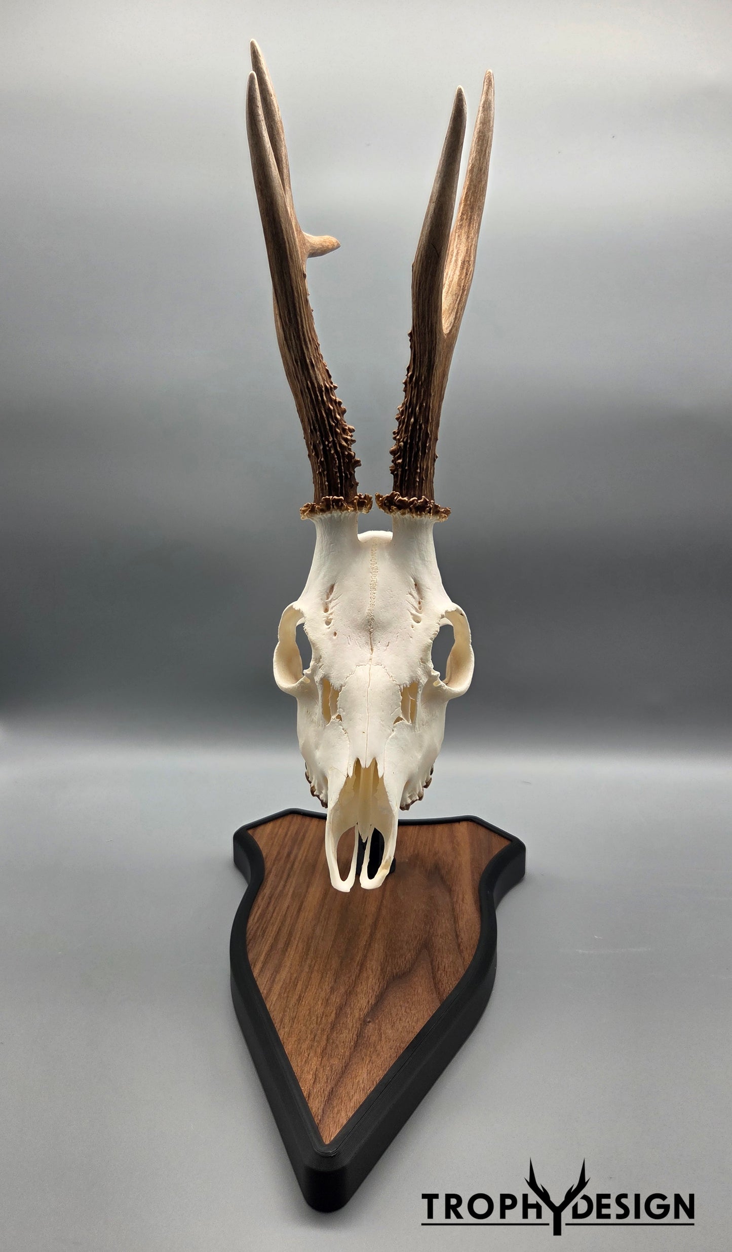 Trophäenständer (Holz)