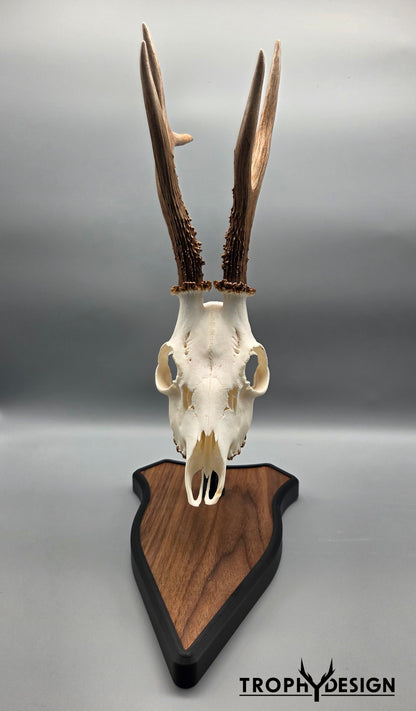 Trophäenständer (Holz)