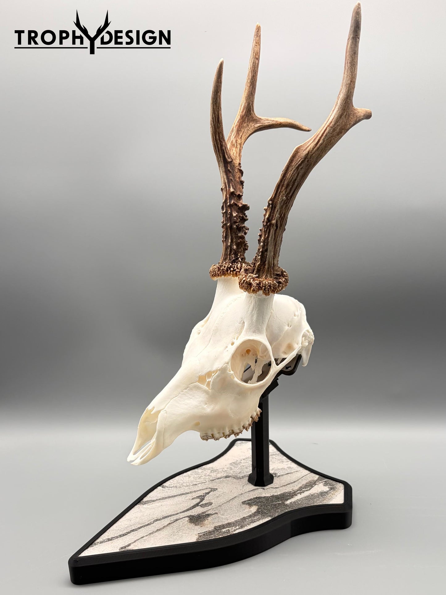 Trophäenständer (Stein)