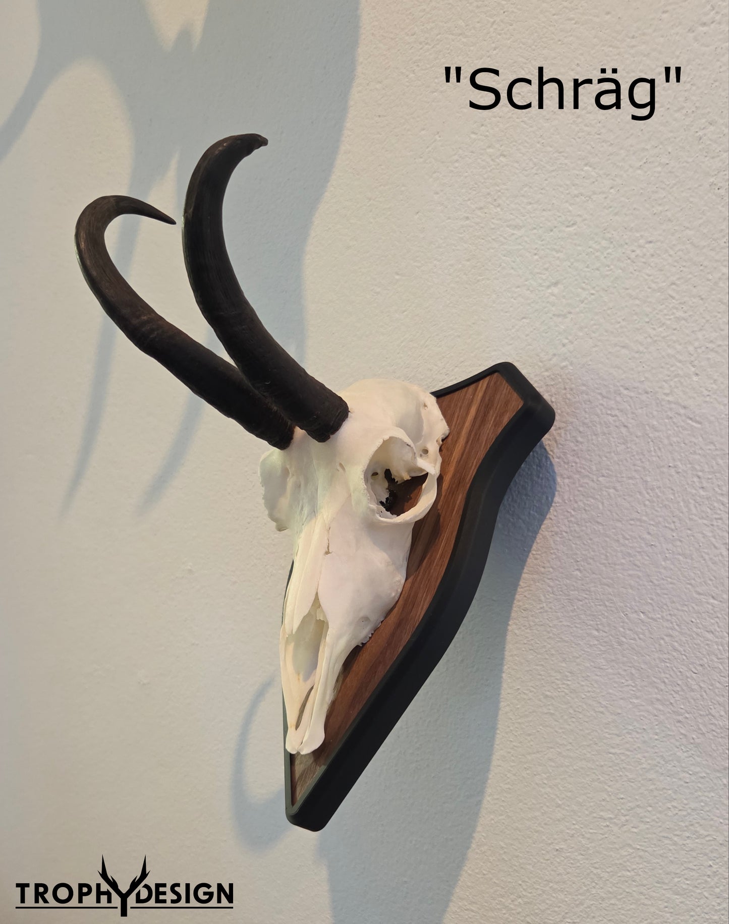 Trophäenschild "Schräg"