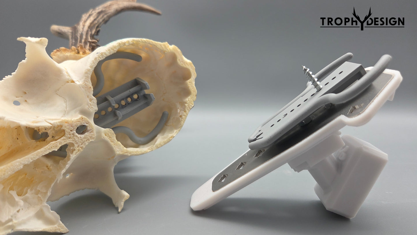 Wandhalterung für Jagdtrophäen (Reh/Gams) - schräg