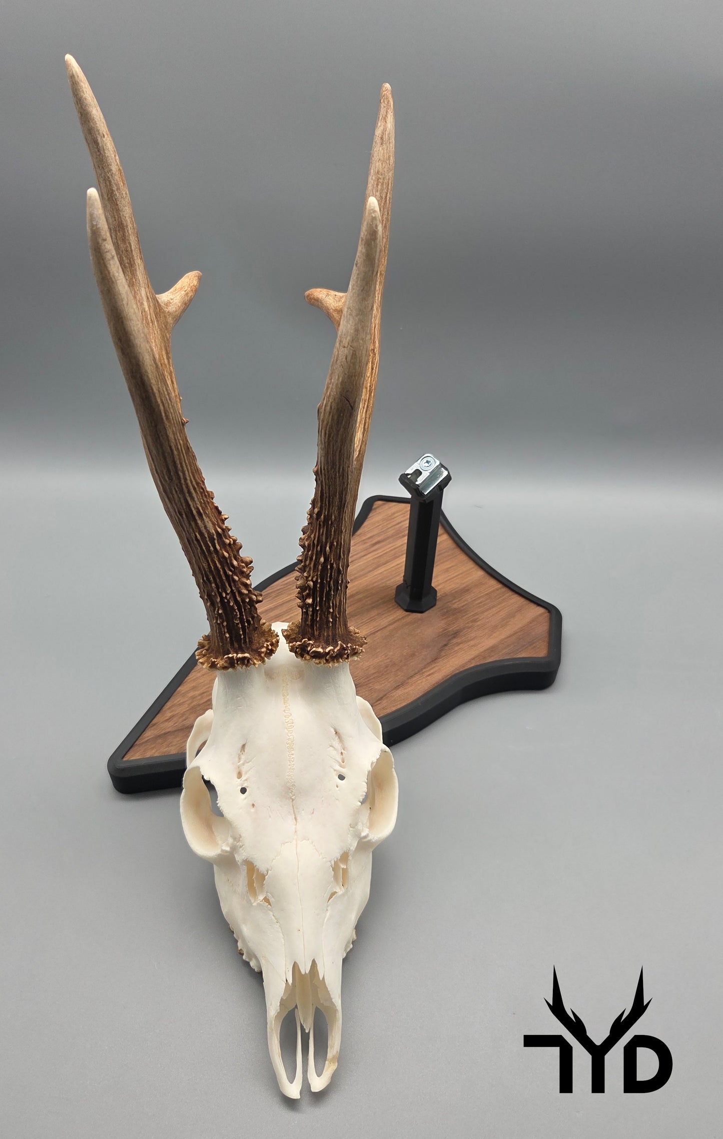 Trophäenständer (Holz)