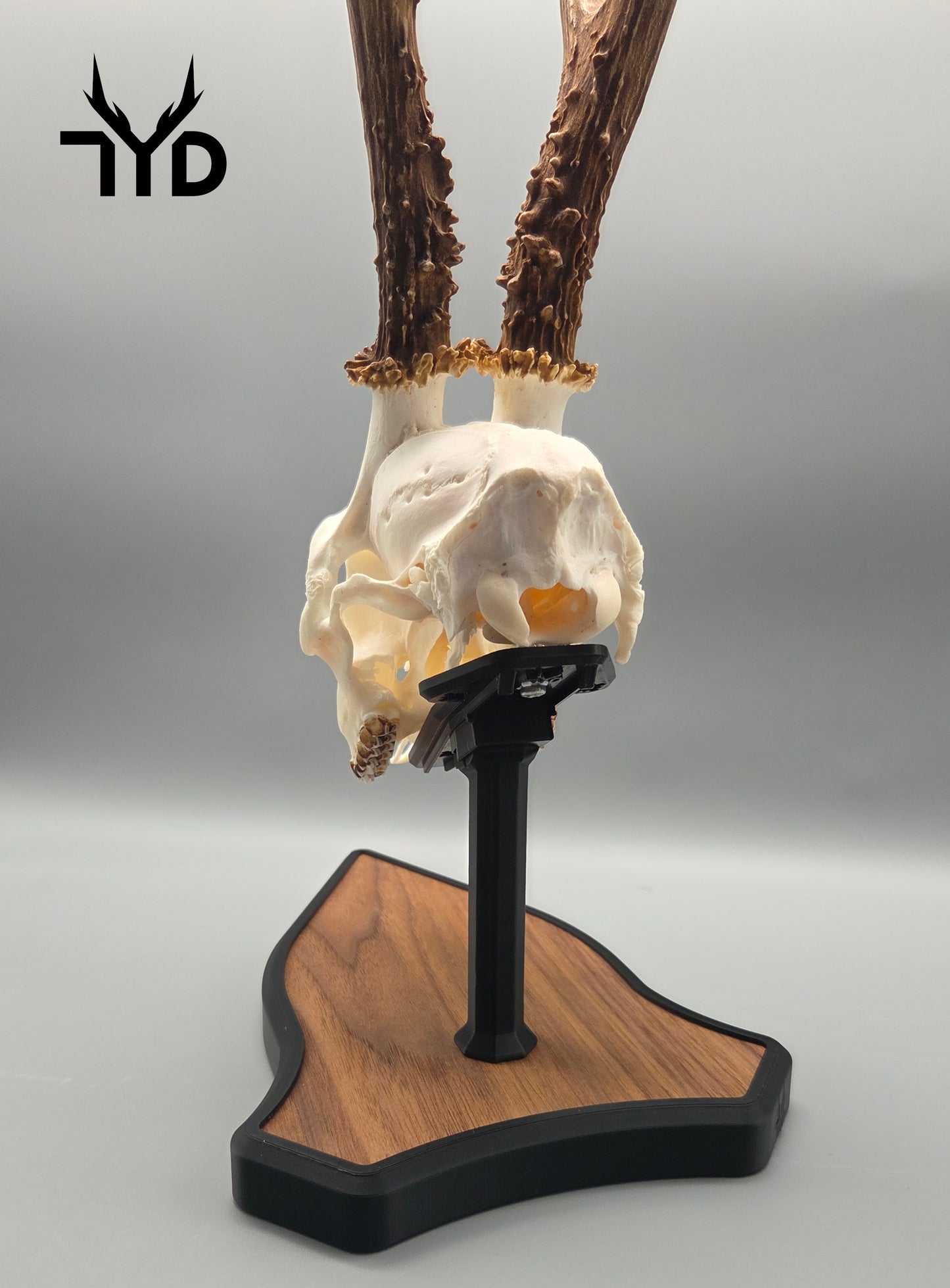 Trophäenständer (Holz)