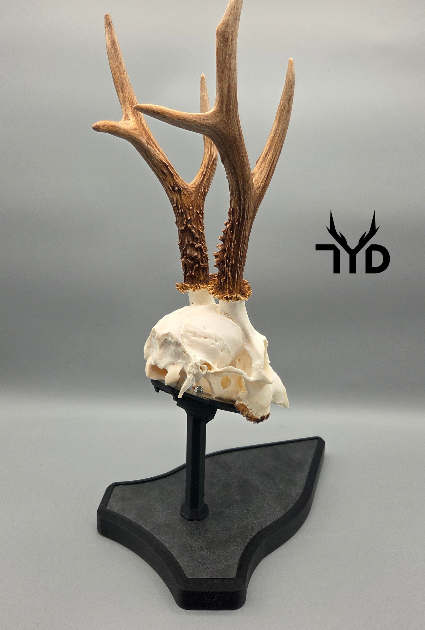 Trophäenständer (Stein)