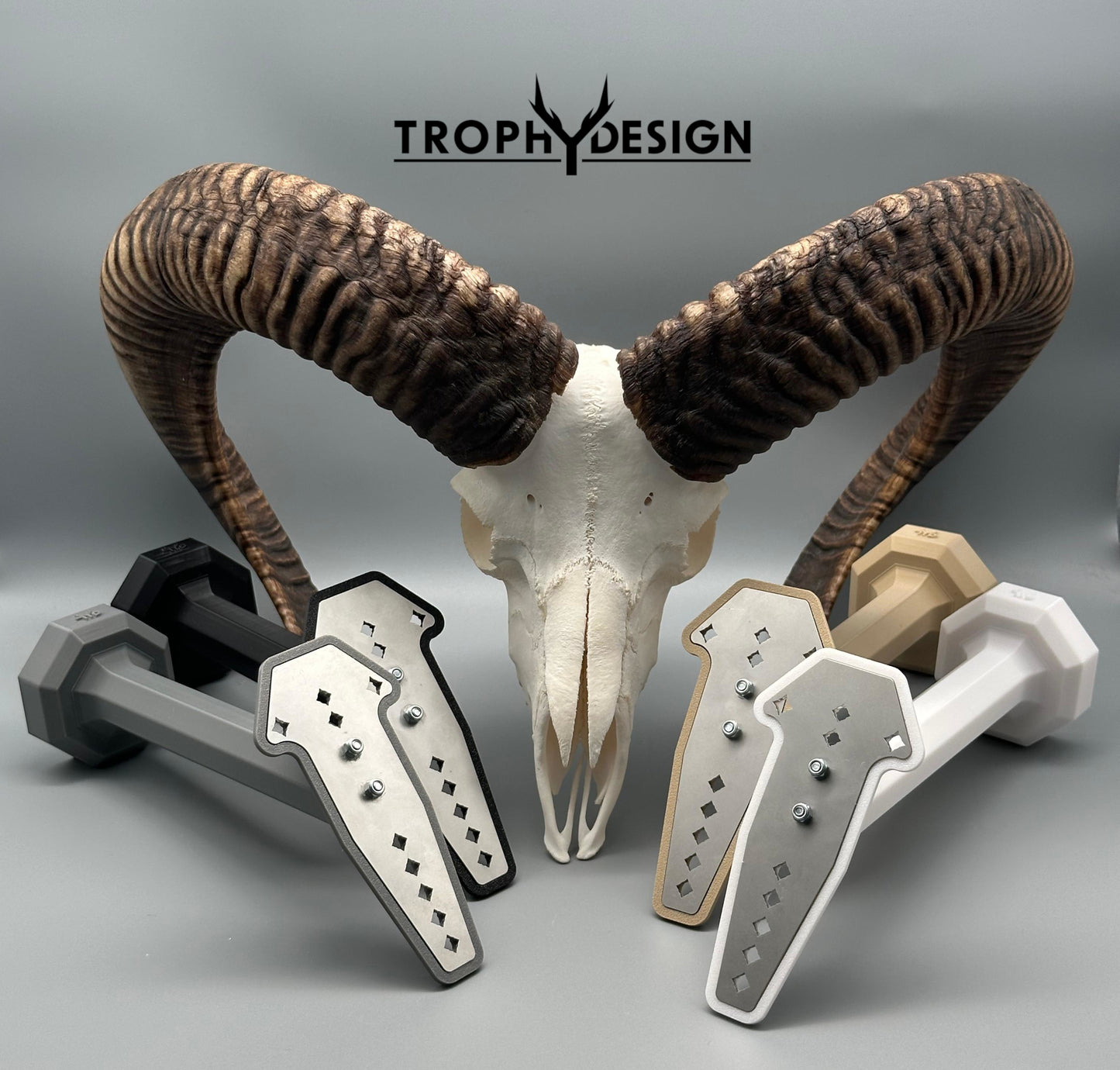 Wandhalterung für Jagdtrophäen (Muffelwild)