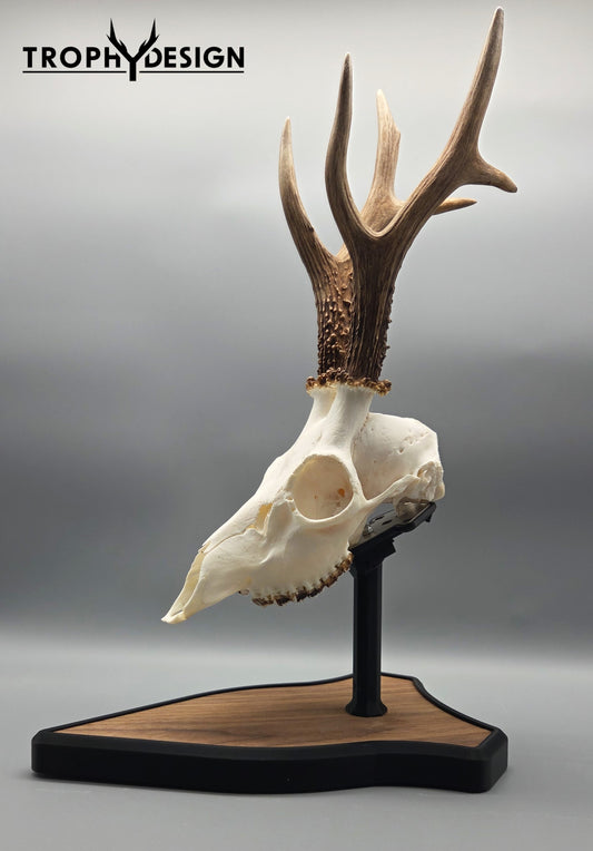 Trophäenständer (Holz)