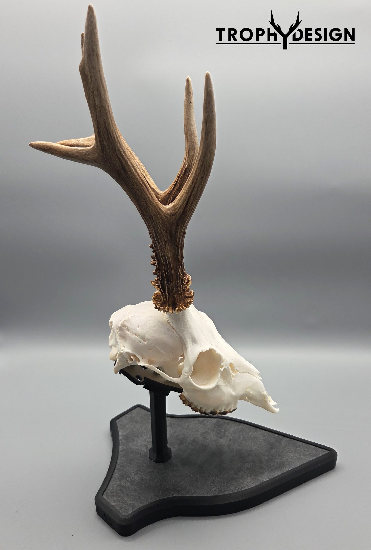 Trophäenständer (Stein)