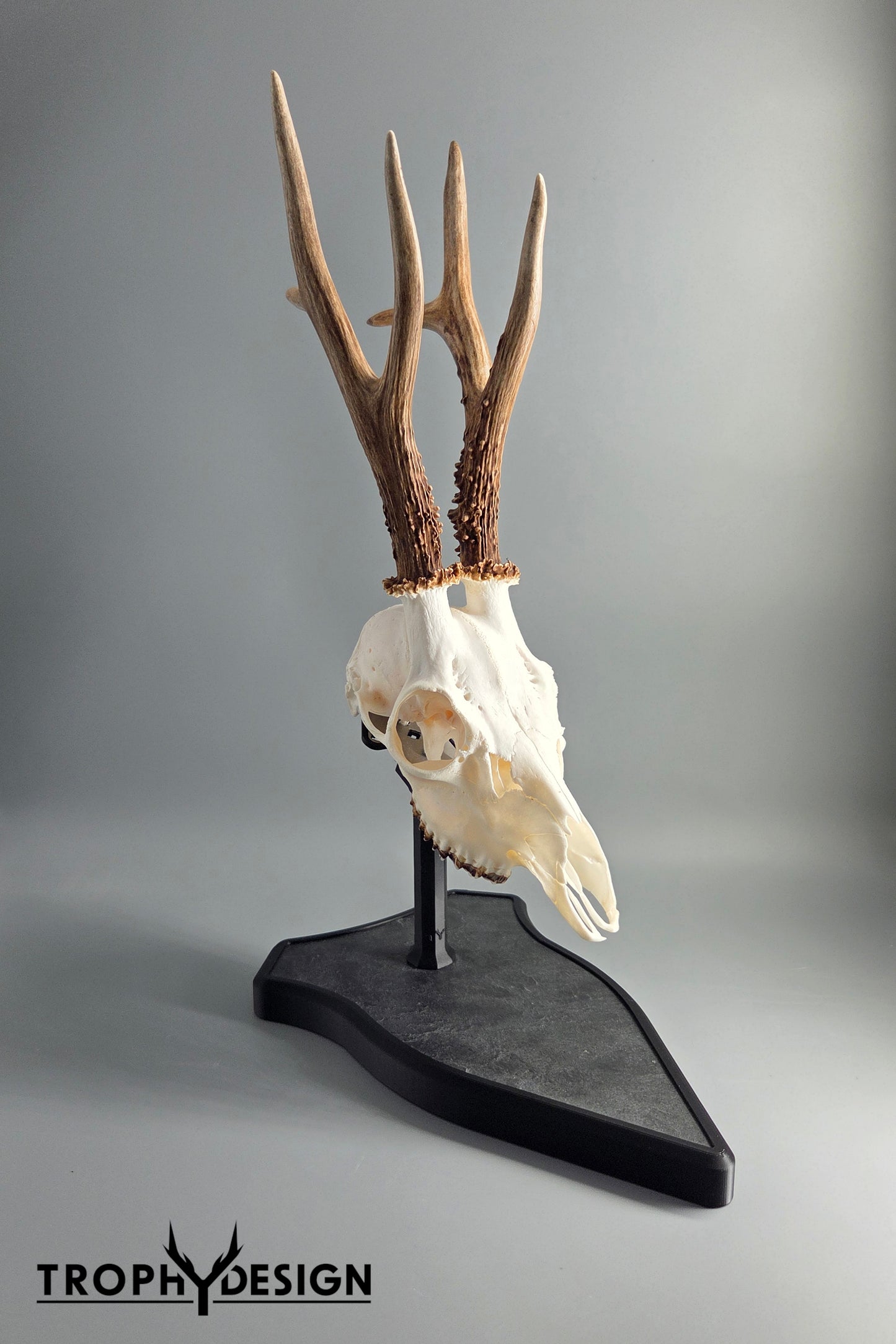 Trophäenständer (Stein)