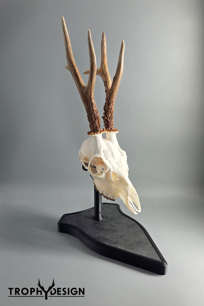 Trophäenständer (Stein)