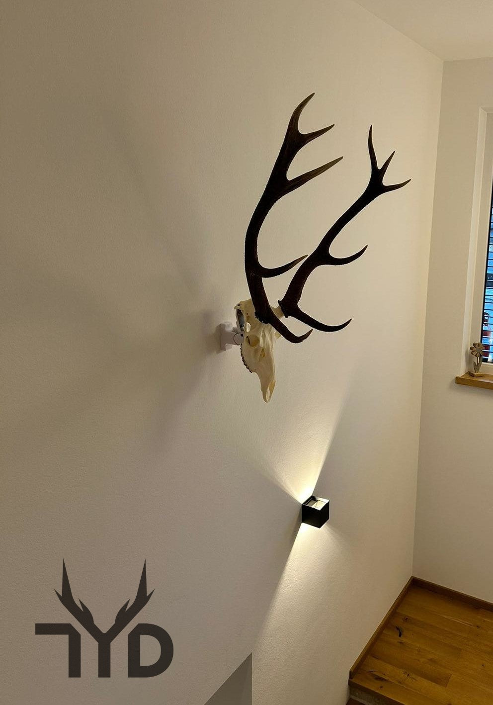 Wandhalterung für Jagdtrophäen (Rotwild) - bis 9 kg