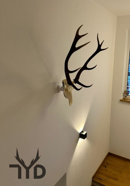 Wandhalterung für Jagdtrophäen (Rotwild) - bis 9 kg