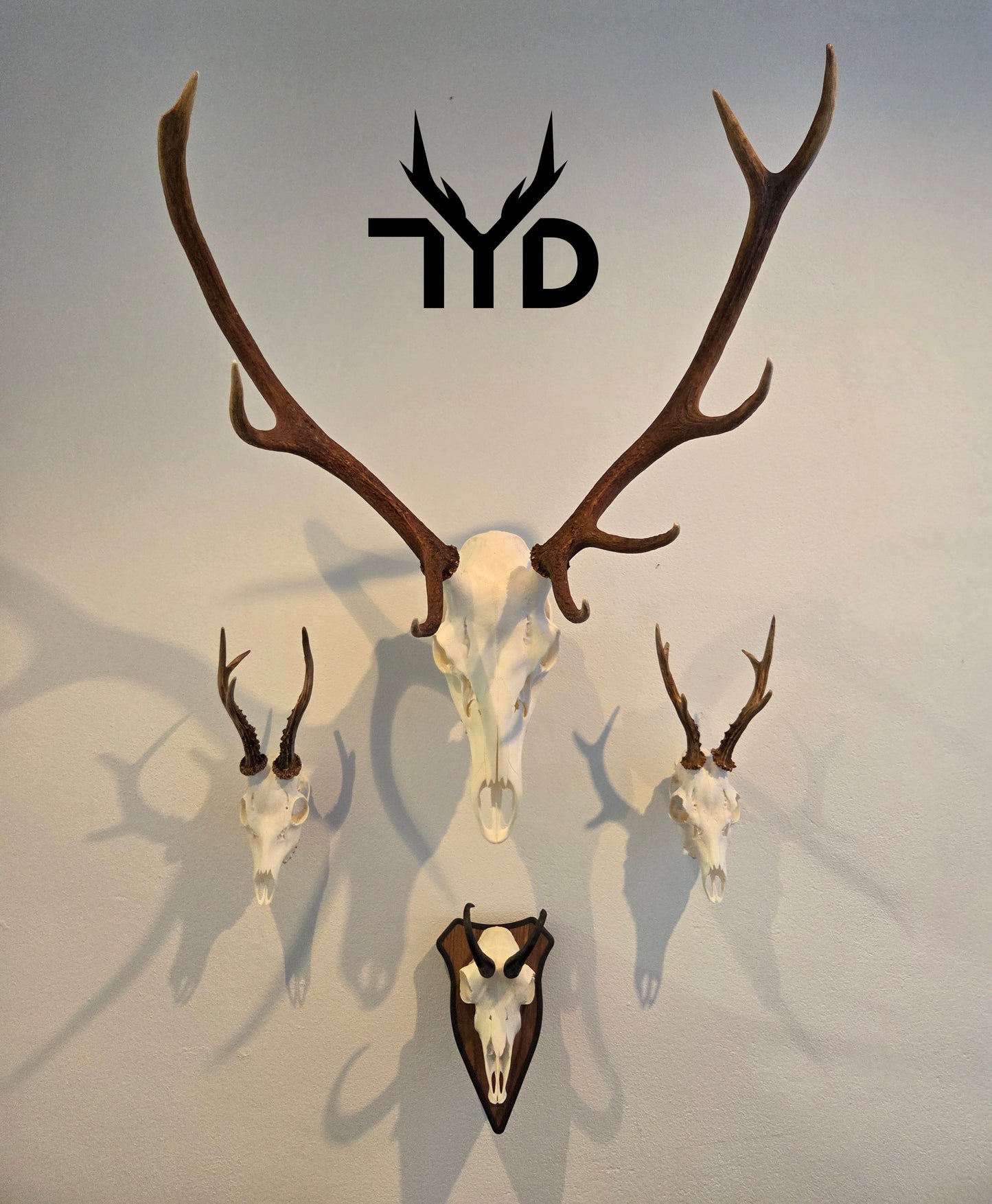 Trophäenschild "Schräg"