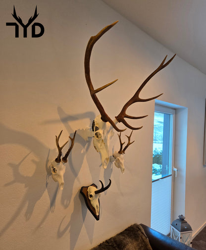 Trophäenschild "Schräg"