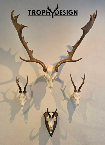 Trophäenschild "Schräg"